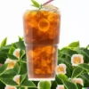 5 Tea Shrub Seeds (Camellia sinensis) | Black, White, Green Tea Leaf Tree Plant
