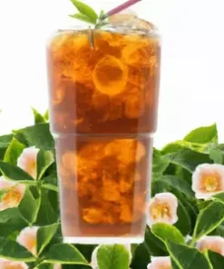 5 Tea Shrub Seeds (Camellia sinensis) | Black, White, Green Tea Leaf Tree Plant