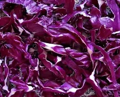 500+ Cabbage Red Acre Heirloom Non-GMO Garden Fresh Vegetable Seeds,