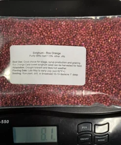 8 Ounces Sorghum Seeds Rox Orange Syrup Cane Non-Gmo Heirloom 1/2 Pound
