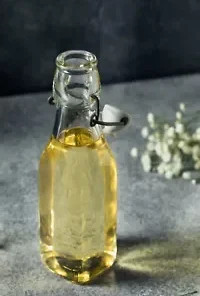 80 Black Elderberry Seeds (Sambucus canadensis) Tree Shrub Fruit Berry