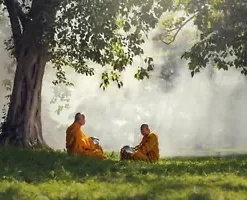 80+ Medicinal Ficus Religiosa Seeds: Budha Peepal, Sacred Fig, A Meditation Tree