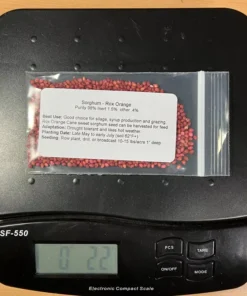 800 Sorghum Seeds Rox Orange Syrup Cane Non-Gmo Heirloom