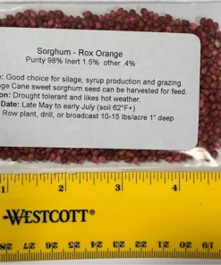 800 Sorghum Seeds Rox Orange Syrup Cane Non-Gmo Heirloom