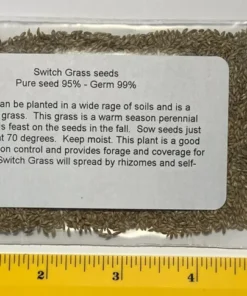 8000 + Switchgrass Seeds Native Tall Grass Prairie Ornamental Perennial - Grass Seeds For Lawn