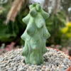 Boobie Cactus 4 inch Pot | Myrtillocactus Geometrizans | Rare Succulent Plant