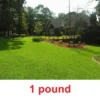 Centipede Grass Seed - 1 Lb - Grass Seeds For Lawn