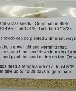 Centipede Grass Seeds Starter Pack 6000-8000 Seeds - Grass Seeds For Lawn