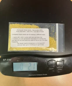 Centipede Grass Seeds Starter Pack 6000-8000 Seeds - Grass Seeds For Lawn