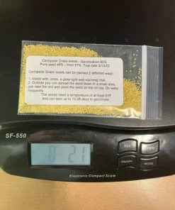 Centipede Grass Seeds Starter Pack 6000-8000K Seeds - Grass Seeds For Lawn