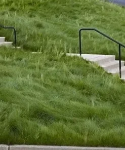 Creeping Red Fescue Grass Seed, Shade Tolerant Fescue, 8 Ounces - Grass Seeds For Lawn