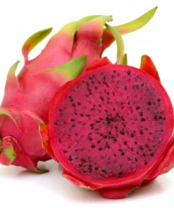 Fresh Red Dragon Fruit Tree – Live Plant in 4in Pot – Fast Growing