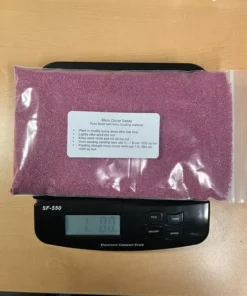 Micro Clover Seeds - 1 Pound - Covers Up To 2000 Square Feet - Grass Seeds For Lawn