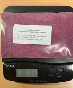 Micro Clover Seeds - 1/2 Pound - Covers Up To 1000 Square Feet - Grass Seeds For Lawn