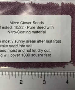 Micro Clover Seeds 6000 Seeds - Grass Seeds For Lawn