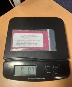 Micro Clover Seeds 6000 Seeds - Ground Cover - Drought Resistant - Grass Seeds For Lawn