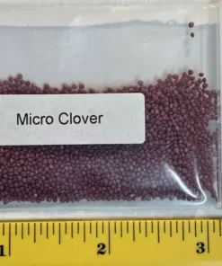Micro Clover Seeds 6000 Seeds - Ground Cover - Drought Resistant - Grass Seeds For Lawn