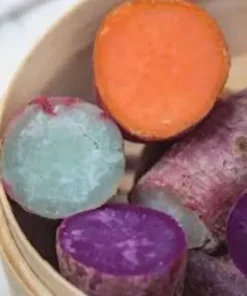 Variety Sweet potato Slips ( 15 Slips ) Red Skin White + Murasaki + Purple