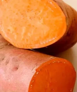 10 Beauregard Sweet Potato Slips /cuttings / Ready To Plant - Orange Beauregard Variety