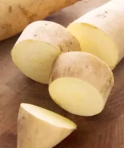 10 White Sweet potato Slips / Cuttings / Asian White Sweet Potato Plants / Khoai