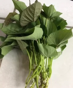 10 White Sweet potato Slips / Cuttings / Asian White Sweet Potato Plants / Khoai