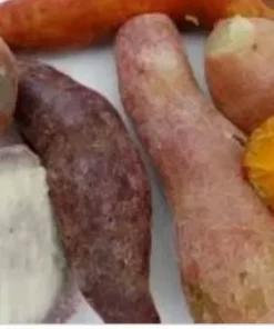 15 Variety Sweet Potato Slips Plants Beauregard + Japanese Red + White - Sweet Potato Plants