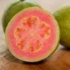 Pink Guava Plant – Sweet Fruit Live Plant – 6-8 inch Tall