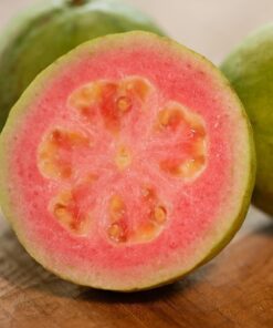 Pink Guava Plant – Sweet Fruit Live Plant – 6-8 inch Tall