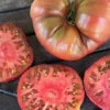 Cherokee Purple Tomato Plant - 2 Pack Large Slicing Tomato Live Plant