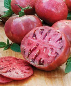 Cherokee Purple Tomato Plant - 2 Pack Large Slicing Tomato Live Plant