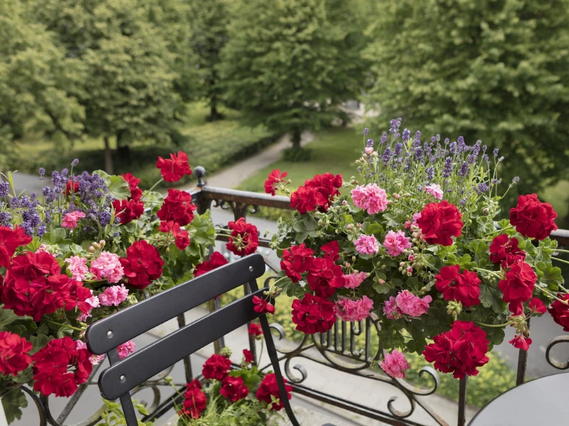 Flowers for Balconies