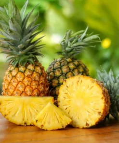 Fruiting Pineapple Plant - Sweet Gold Variety - 5-8 Inch Live Plant