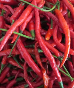 Hot Cayenne Pepper Plants Set - Live, Long & Thin, 4-6 inch Tall - Outdoor Planting