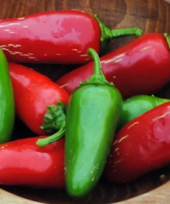 Jalapeno Early Pepper Plants Set - 2 Live Plants 4-6 inch - Outdoor Planting