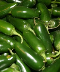 Jalapeno Early Pepper Plants Set - 2 Live Plants 4-6 inch - Outdoor Planting