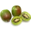 Pack 2 Prolific Kiwi Tree - Hardy Kiwi Prolific Plant-Hardy Kiwi Prolific Plant Pack - 4-6 Inch Starter Tree - Self-Fertile