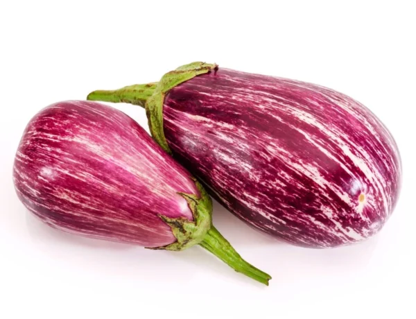 Pandora Striped Rose Eggplant Care – What is Pandora Striped Rose Eggplant?