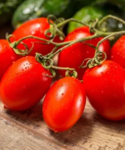 Roma Tomato Plants - Set of 2 Live Plants 4-8