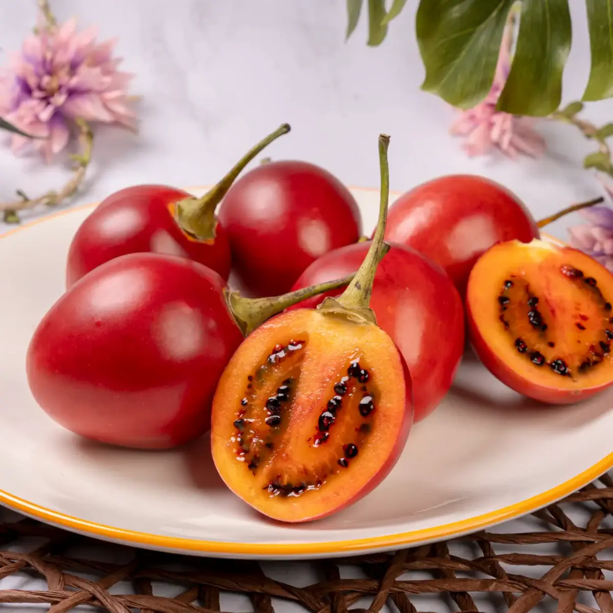 Tamarillo Tomato Tree Plant 4″-8″ Tall in a Cup – Cyphomandra Betacea