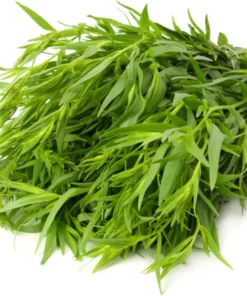 Tarragon Herb Plant Set - 2 Live Plants, 5-9 Inch Tall, Culinary Herb