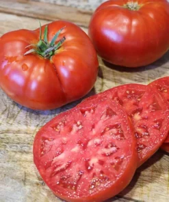 Tomato Big Boy Live Plant Set - Large & Juicy, 4-6 inch, Outdoor Planting