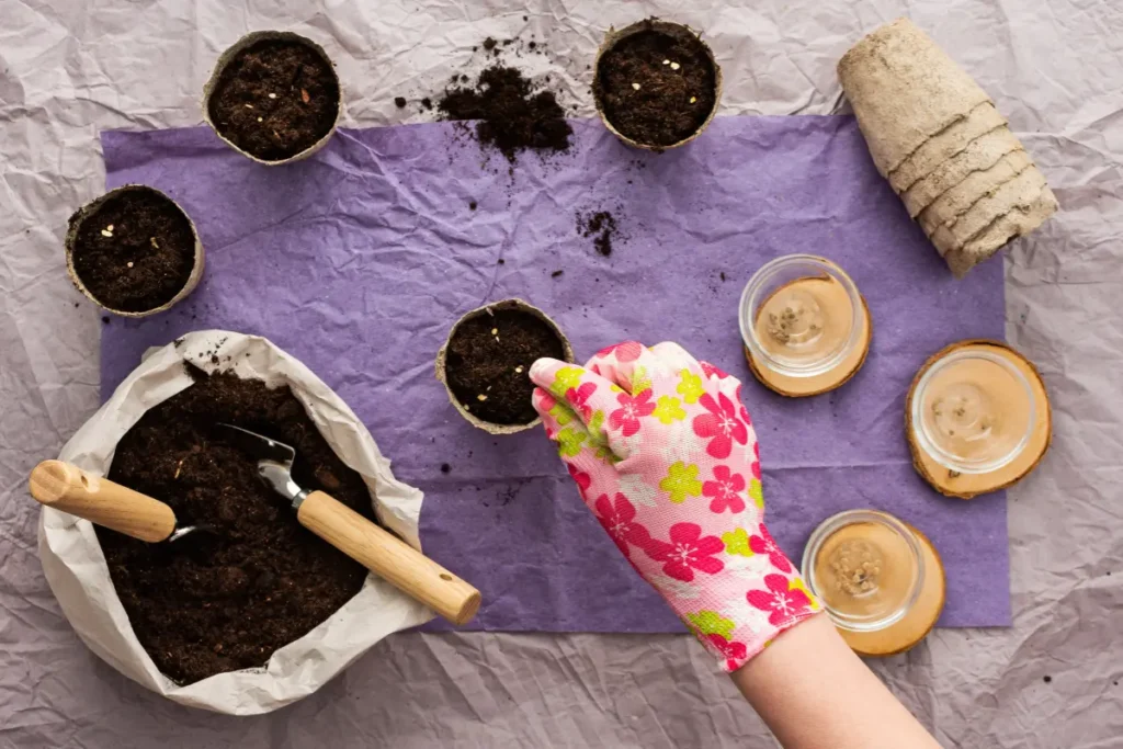 7 Seed Sowing Tips for Beginners