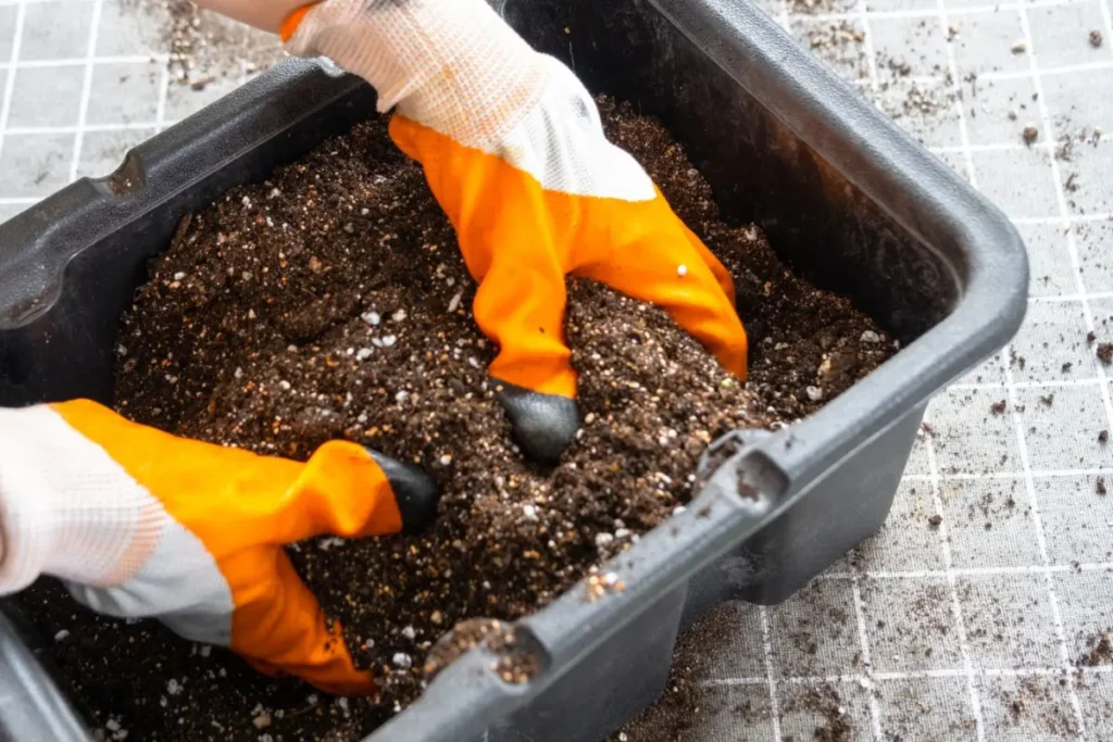 7 Seed Sowing Tips for Beginners