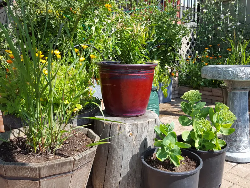 Everything about Gardening Jobs for April You’ll Ever Need