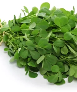 Fenugreek Seeds - 75+ Seeds - Culinary Herb - Free Ship