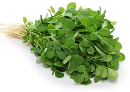 Fenugreek Seeds - 75+ Seeds - Culinary Herb - Free Ship