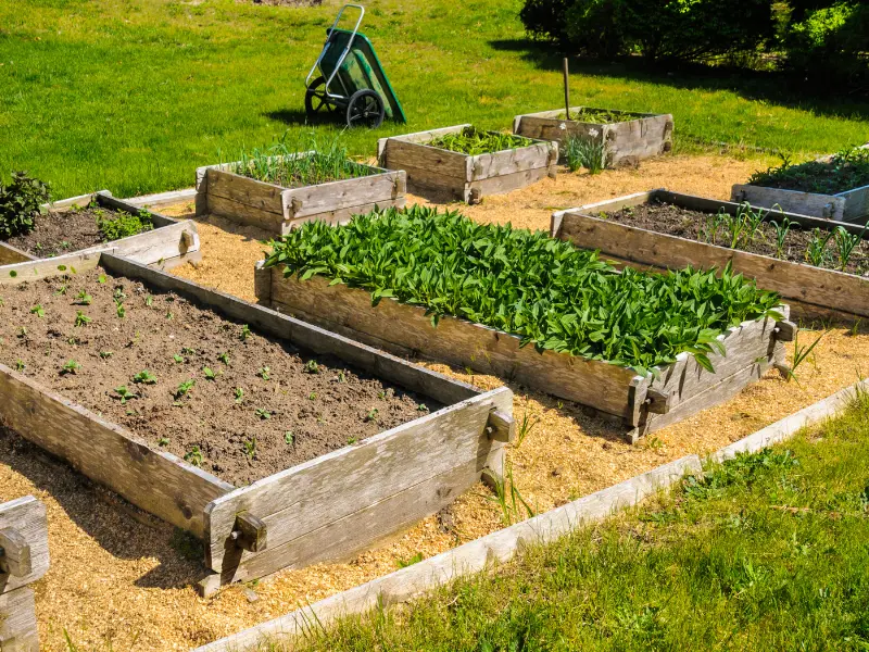 Everything about Gardening Jobs for April You’ll Ever Need