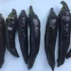 Murasaki Sweet Purple Pepper Seeds - Rare Heirloom Variety - 20 Seeds