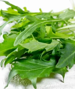 Arugula Seeds for Planting - 500 Seeds - Fast Growing Salad Greens