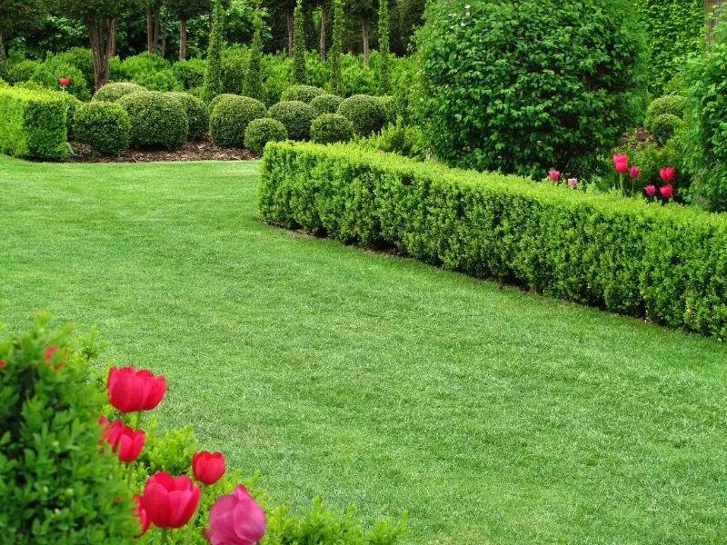 Everything about Gardening Jobs for April You’ll Ever Need